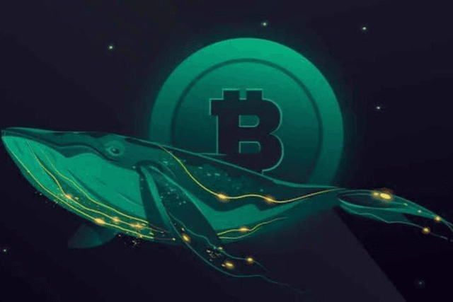 NFT鲸鱼转战Hyperliquid赌桌：麻吉大哥黄立成的交易之路
