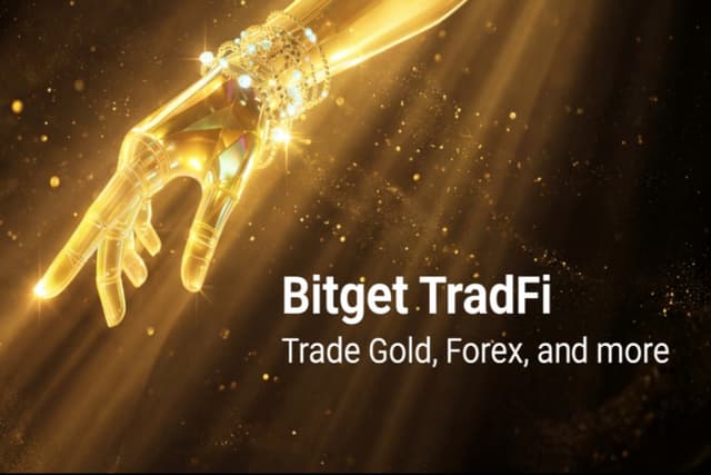 在混沌中交易：我与Bitget的2025