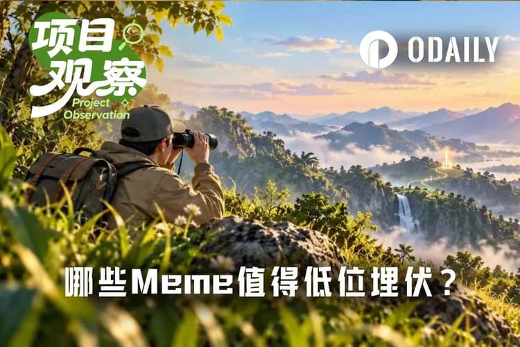 이번 Meme 열풍, 어떤 것을 저점 매수할 가치가 있을까?