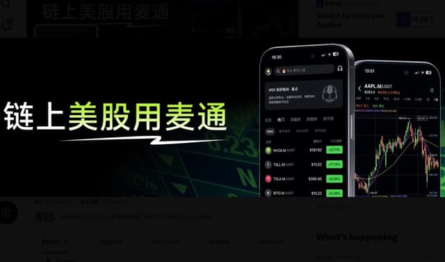 MSX美股每日观察：Tesla Q3财报落地：毛利率回升、现金流转正，储能收入环比下降