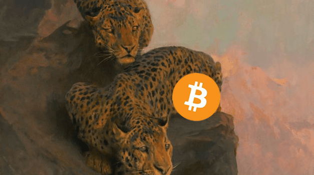 行情分析：投资是修行，操作是执行，缺一不可