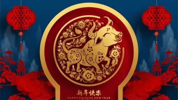 Deribit期权市场播报：0210—完美收官