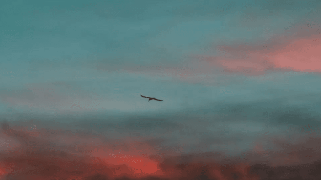 Deribit期权市场播报：0309—1Y RV
