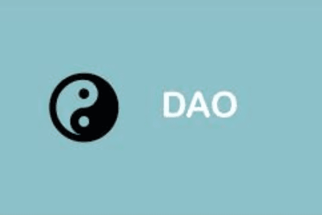 激活个体力量，区块链 DAO 架构给加密货币基金一个弯道超车的机会