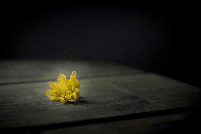 分析了680个加密货币融资后，得到了这样的结论