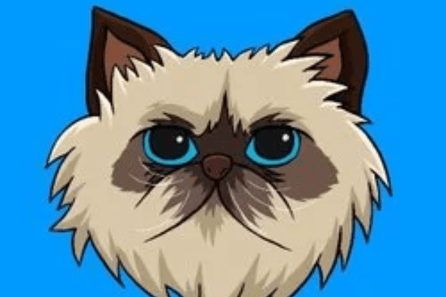 上线三天最高超900倍，Base Meme项目Mister Miggles为何突然爆火？