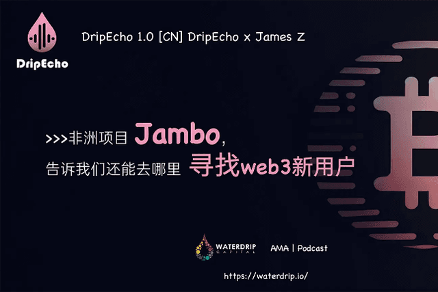加密生态的正和博弈：Web3新用户争夺战在非洲打响｜DripEcho第一期