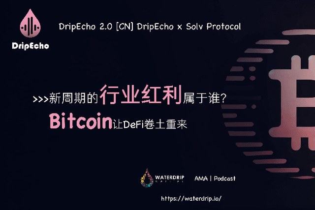 百倍币不再：新周期的行业红利属于谁？｜DripEcho2.0 X Solv Protocol