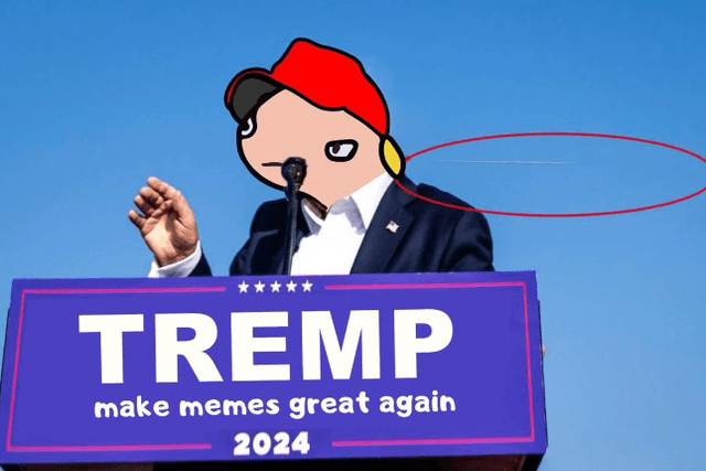美国大选下的Meme战场：未迎来暴涨，多数还遭遇暴跌