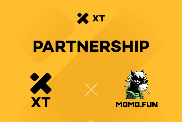 Meme资产新机遇！XT.COM与MOMO.FUN共同赋能用户体验