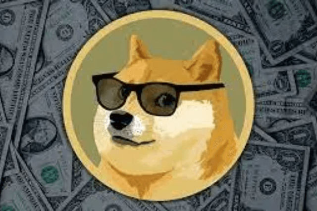一念VC，一念Meme，加密世界的下一波浪潮，向左or向右？