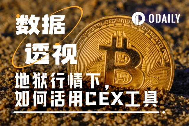 地狱行情下的高胜率策略：如何活用理财工具应对低谷？