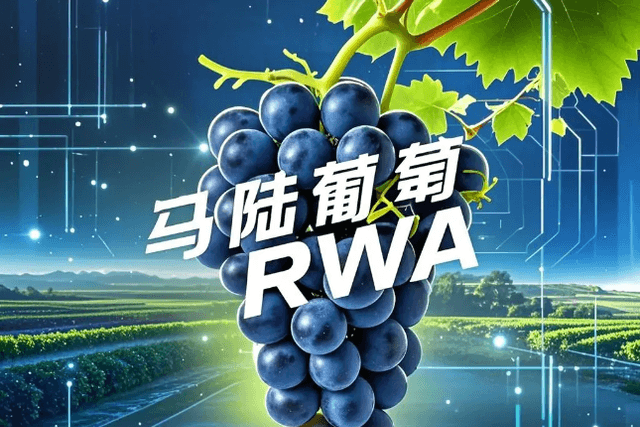 详细解读国内首支RWA项目马陆葡萄