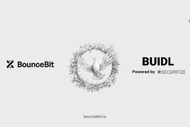 BounceBit联合BlackRock BUIDL推出RWA+CeDeFi结构化收益产品，推动RWA应用场景新阶段