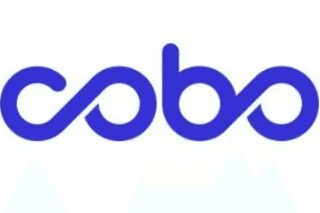 Cobo｜RWA 的 DeepSeek 时刻将至：发展趋势、落地路径与机构最佳实践全景解析