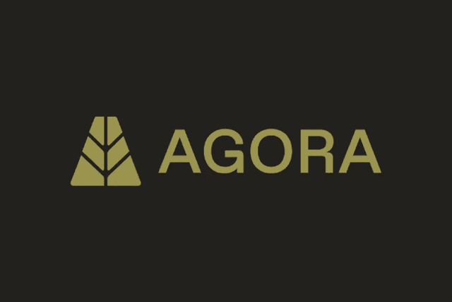 Paradigm重金押注Agora，「白标稳定币」是新故事还是旧包装？