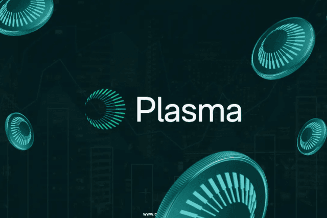 XPL公售遭大户疯抢，Plasma为何成为市场新宠？