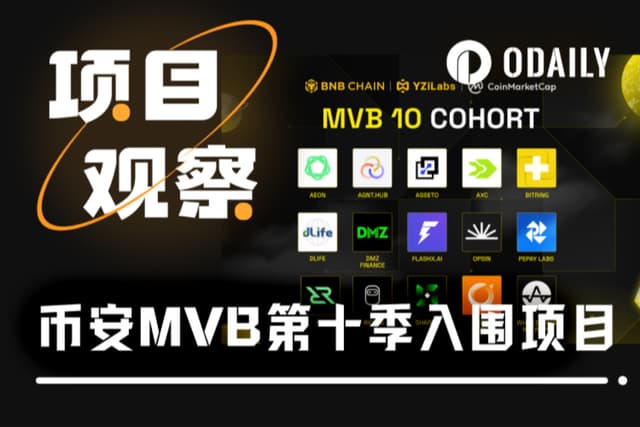 币安MVB第十季入围的15个项目全测评