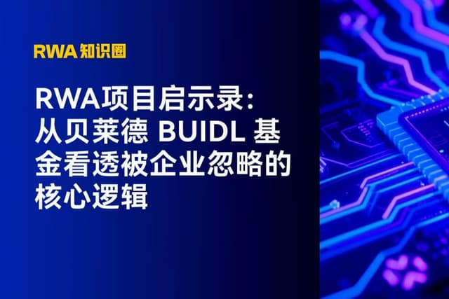 RWA项目启示录:从贝莱德BUIDL基金看透被企业忽略的核心逻辑
