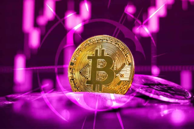 工具测评:加密储备公司数据查询哪家强?