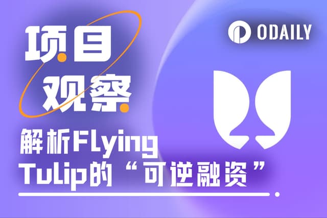 解析Flying Tulip 10亿美元“可逆融资”运作细节,散户该如何参与?