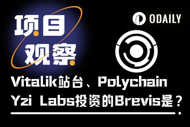 起底Brevis:获Vitalik青睐、融资750万美元,链下计算引擎如何解锁以太坊新范式?