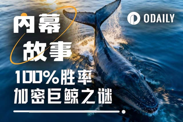 100%胜率巨鲸是如何炼成的?揭秘“特朗普派内幕人士”真实身份