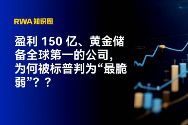 盈利 150 亿、黄金储备全球第一的公司,为何被标普判为“最脆弱”?