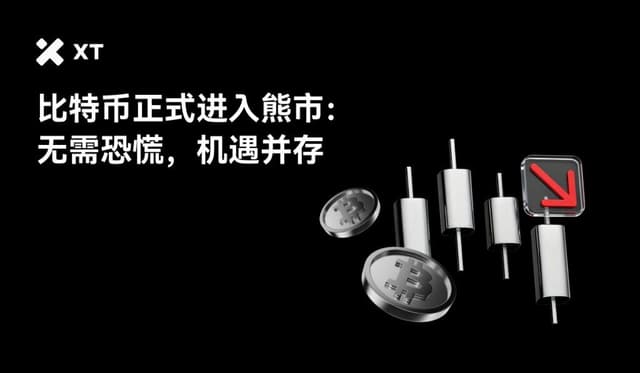 比特币正式进入熊市:链上证据、资金流向与投资者如何获利