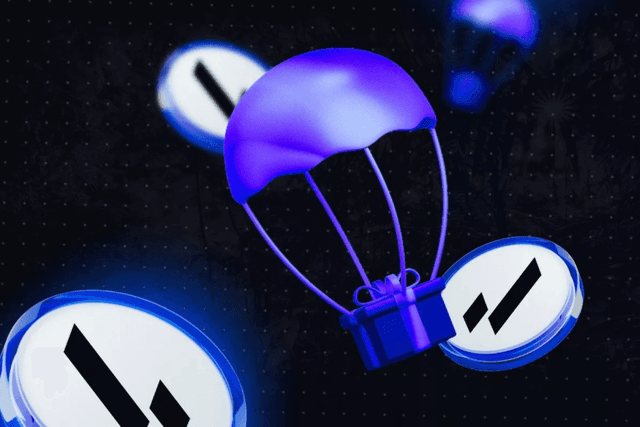 Lighter空投赢家揭秘:他们如何用低成本撬动高回报?