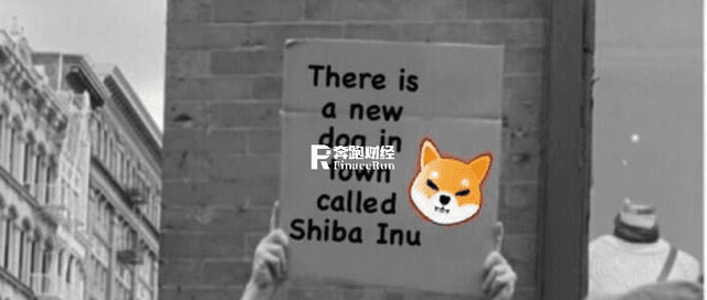 离开币圈的人,是败给了一只狗